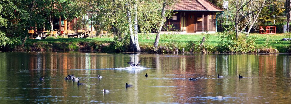Badesee Schöntalweiher bei Ludwigswinkel_Foto Kurt Groß Badesee Schöntalweiher bei Ludwigswinkel_Foto Kurt Groß